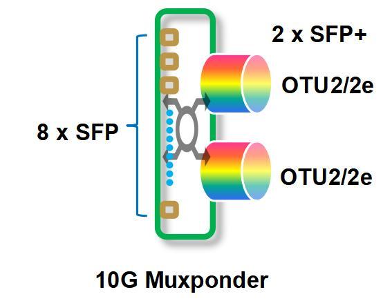 10g-muxponder-8-2.5-any-function-structure.jpg